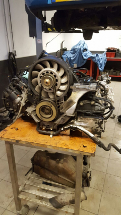groot onderhoud porsche 911 inc klepstellenolie lekkage oplossen - tco van loon